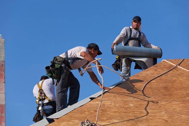 Professional Roofing Contractor in Rosita, TX