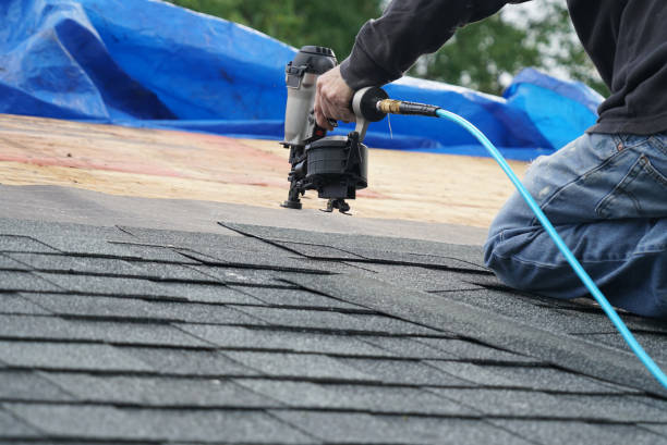 Best Shingle Roofing Installation  in Rosita, TX